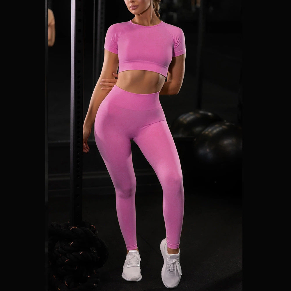 Seamless Yoga Sport Set Fitness Women Running Leggings Short Sleeve Tops My Store